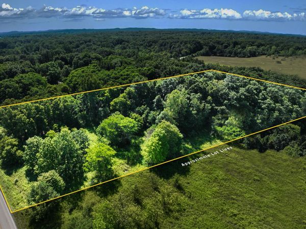 Sparling & Mayer Road, Unit Lot- 4, Wales, MI 48027