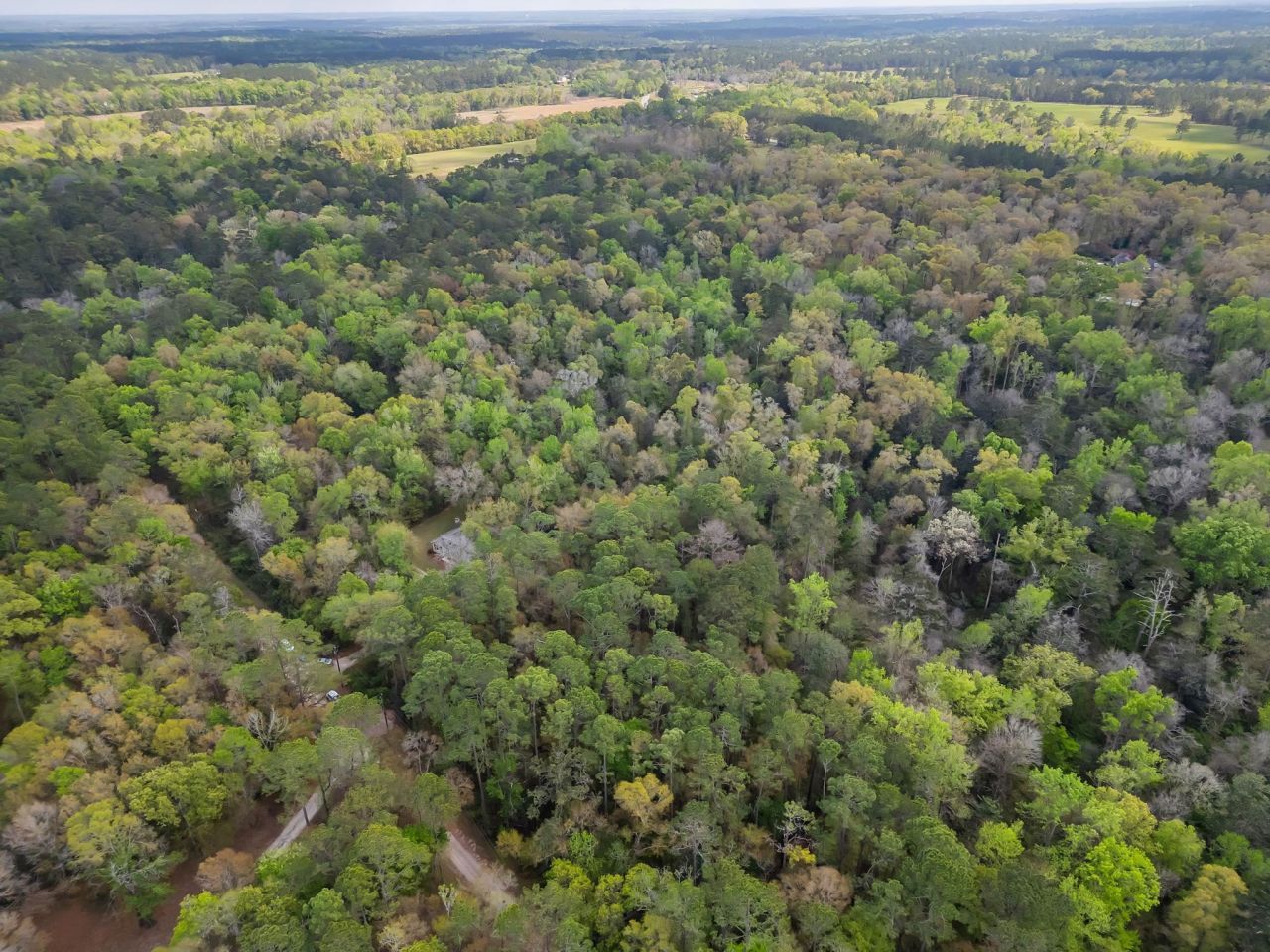 81 E Deer Pass, Havana, FL 32333 Photo