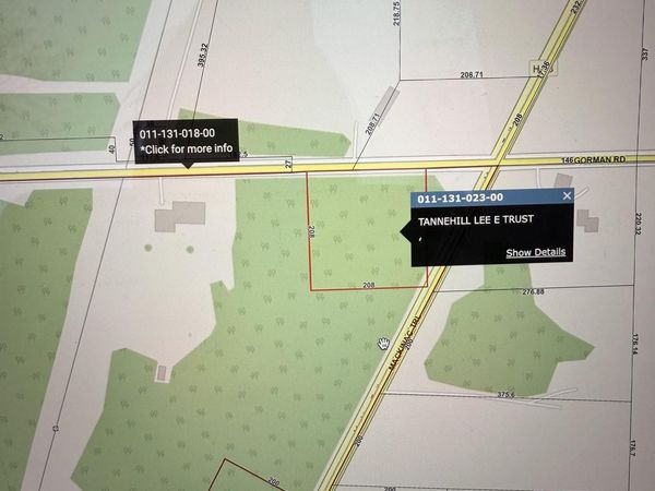 TBD Moran Road, Moran Twp, MI 49760