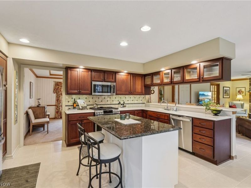 10449 Misty Ridge Drive, Concord Township, OH 44077 Photo 12