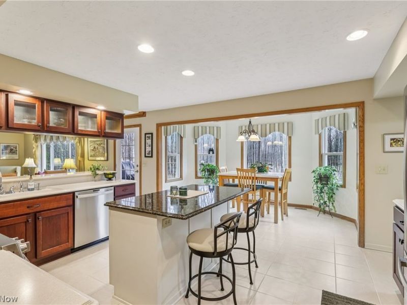 10449 Misty Ridge Drive, Concord Township, OH 44077 Photo 14