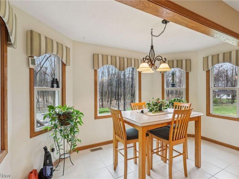 10449 Misty Ridge Drive, Concord Township, OH 44077 Photo 15