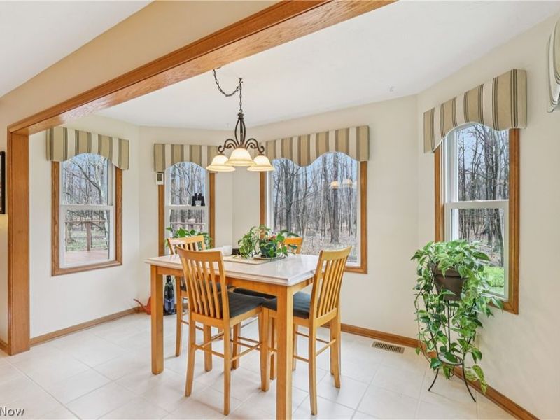 10449 Misty Ridge Drive, Concord Township, OH 44077 Photo 16