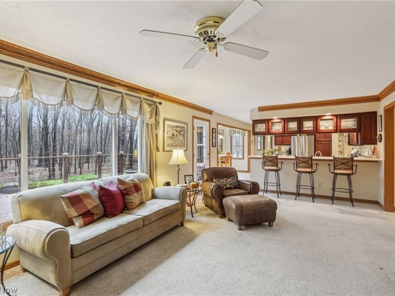 10449 Misty Ridge Drive, Concord Township, OH 44077 Photo 9