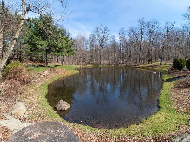 1360 Snowberry Lane, Medina, OH 44256 Photo 3