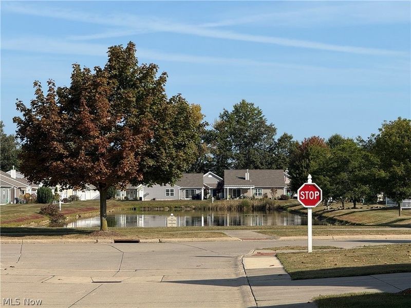 110 Carrington Court, Elyria, OH 44035 Photo 38