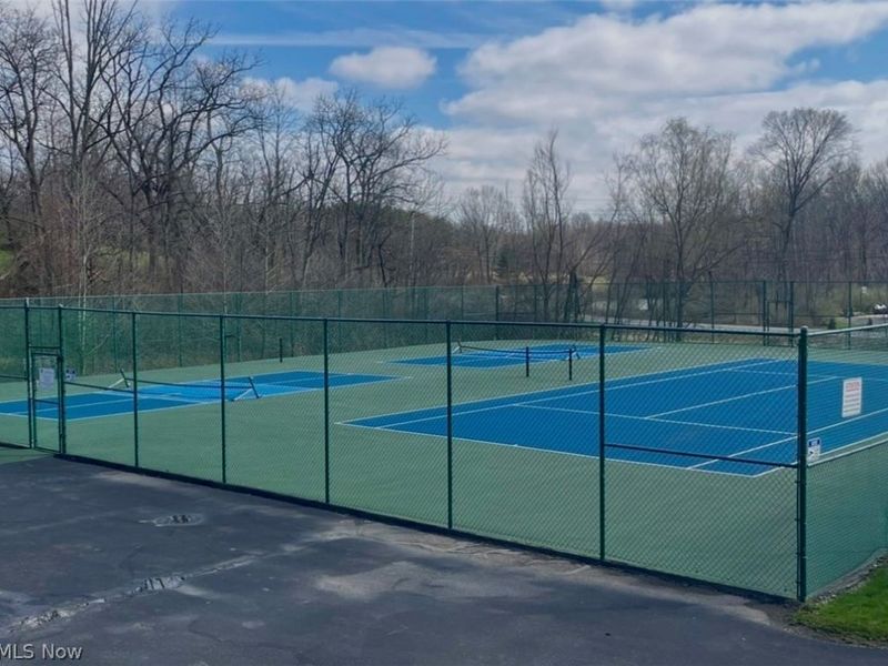 3316 Blue Heron Trce, Medina, OH 44256 Photo 44