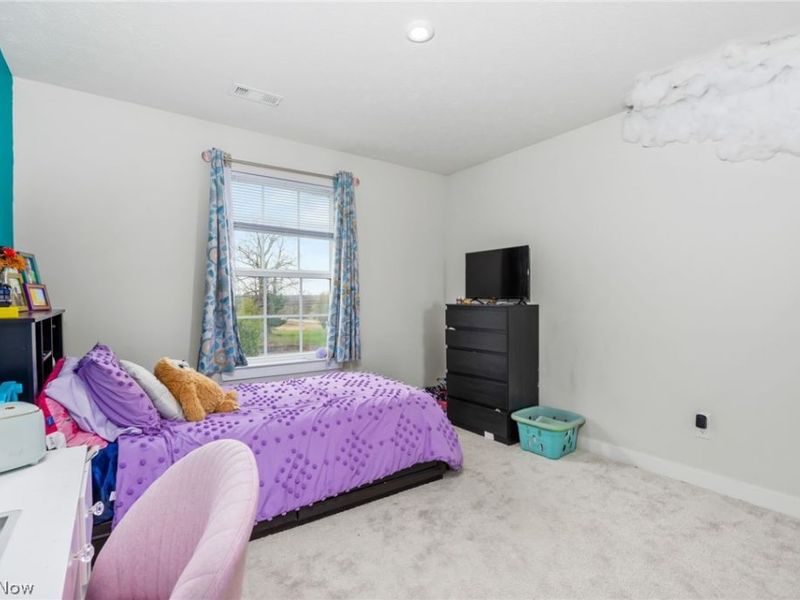 5791 Lea Lane, Medina, OH 44256 Photo 19