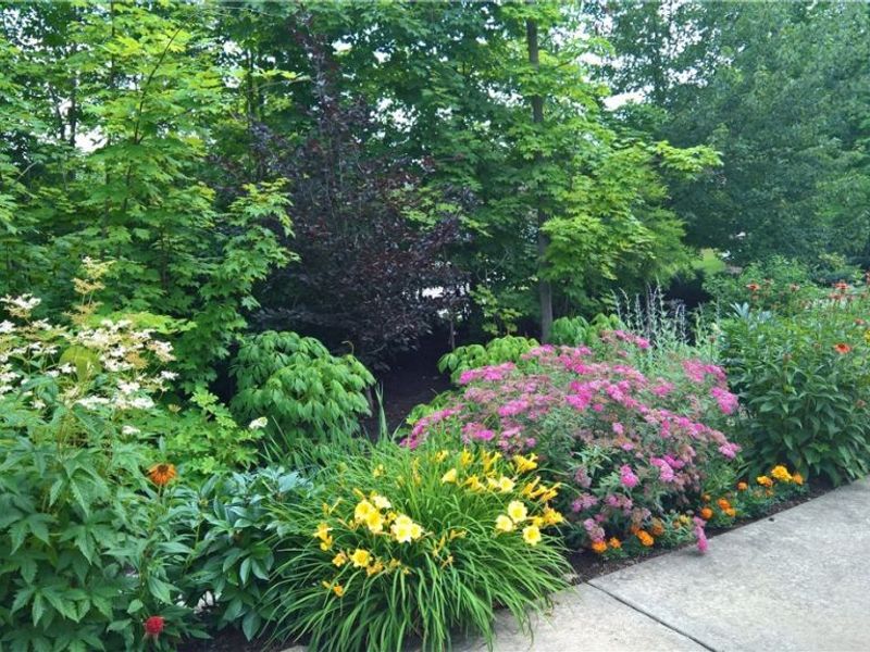 3950 Evergreen Lane, Richfield, OH 44286 Photo 49