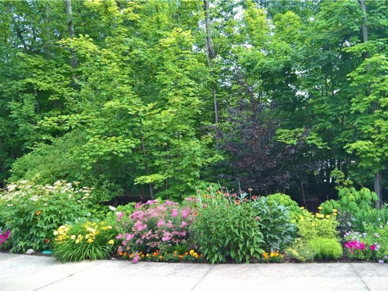 3950 Evergreen Lane, Richfield, OH 44286 Photo 50