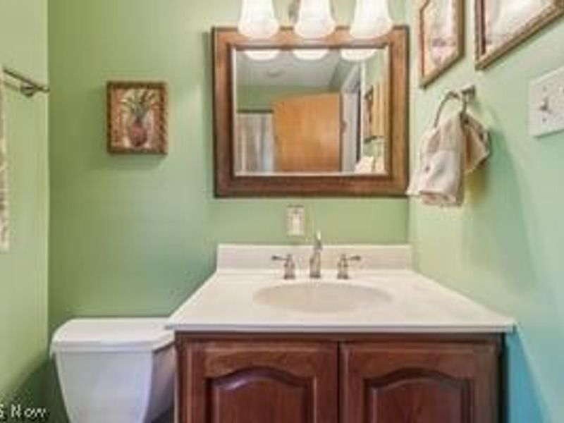 47335 Tomahawk Drive, Negley, OH 44441 Photo 14