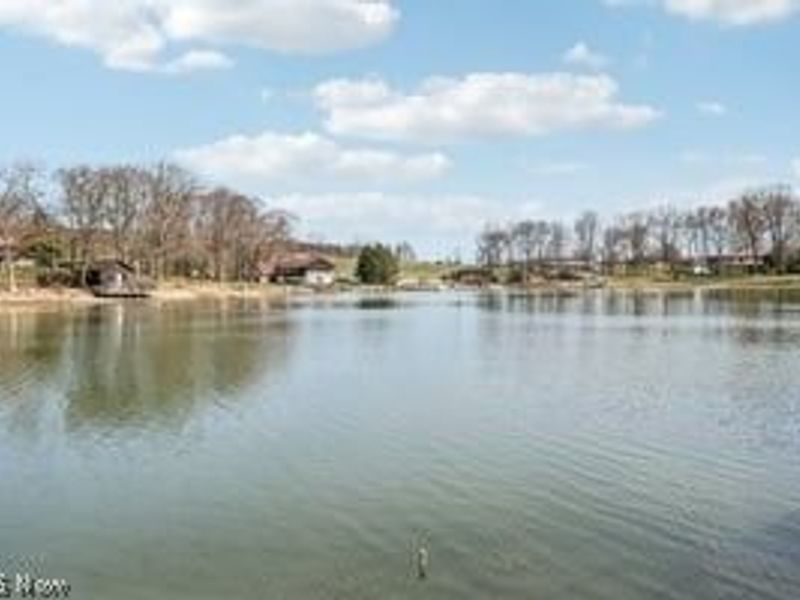 47335 Tomahawk Drive, Negley, OH 44441 Photo 22