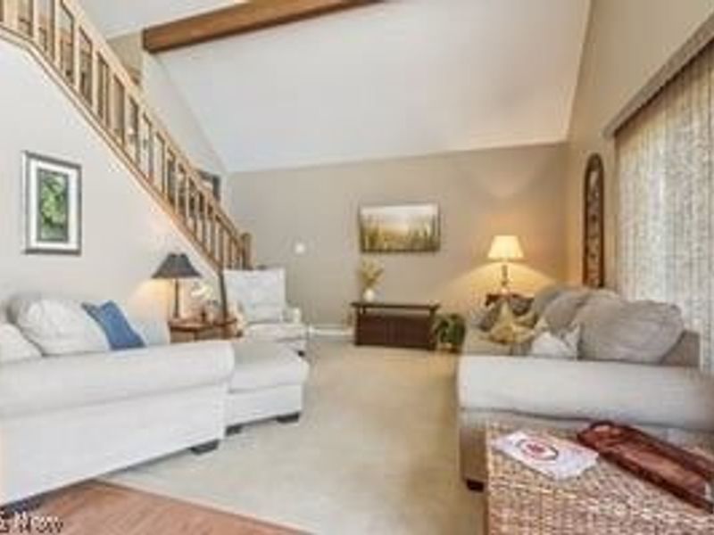 47335 Tomahawk Drive, Negley, OH 44441 Photo 3