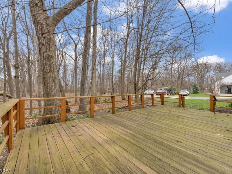 13 Laurel Drive, Rocky River, OH 44116 Photo 46