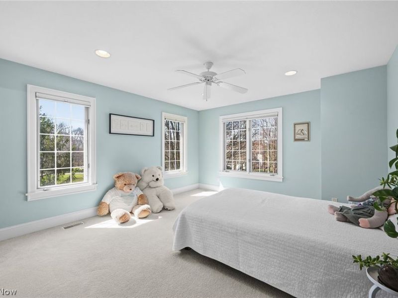 7674 Bergen Court, Hudson, OH 44236 Photo 36