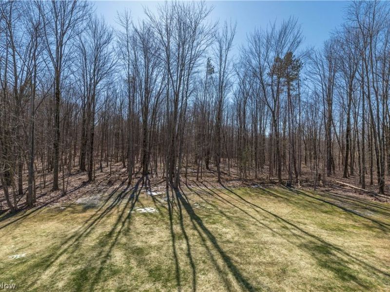 5219 Waterbridge Drive, North Royalton, OH 44133 Photo 41