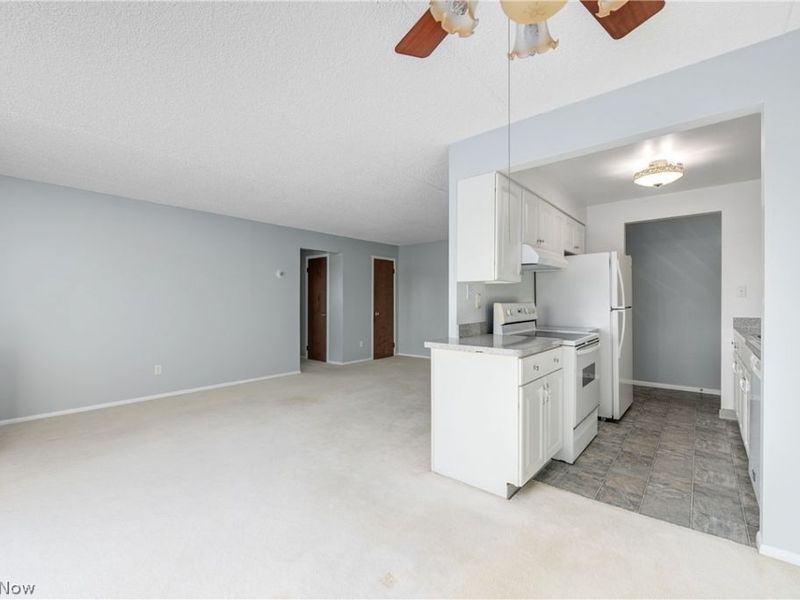 521 Tollis Pky, Unit 298, Broadview Heights, OH 44147 Photo 7