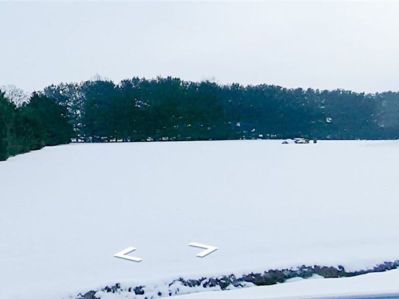 49631 Foxwood Lane, East Palestine, OH 44413 Photo 2