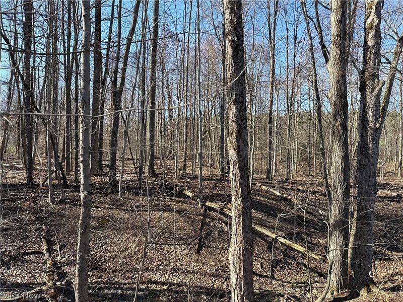 V/L Sutton Place, Chardon, OH 44024 Photo 3