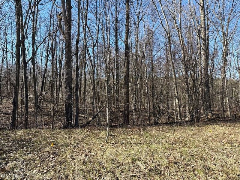 V/L Sutton Place, Chardon, OH 44024 Photo 4