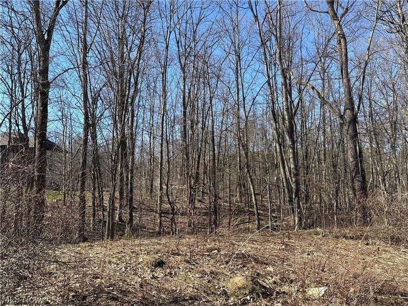 V/L Sutton Place, Chardon, OH 44024 Photo 5