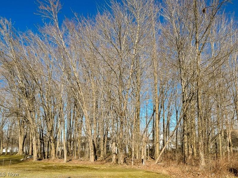 V/L Centennial Street, Geneva, OH 44041 Photo 2