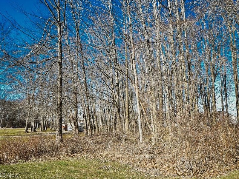 V/L Centennial Street, Geneva, OH 44041 Photo 3