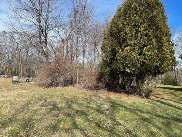 VL Rustic Rook Road, Chippewa Lake, OH 44215