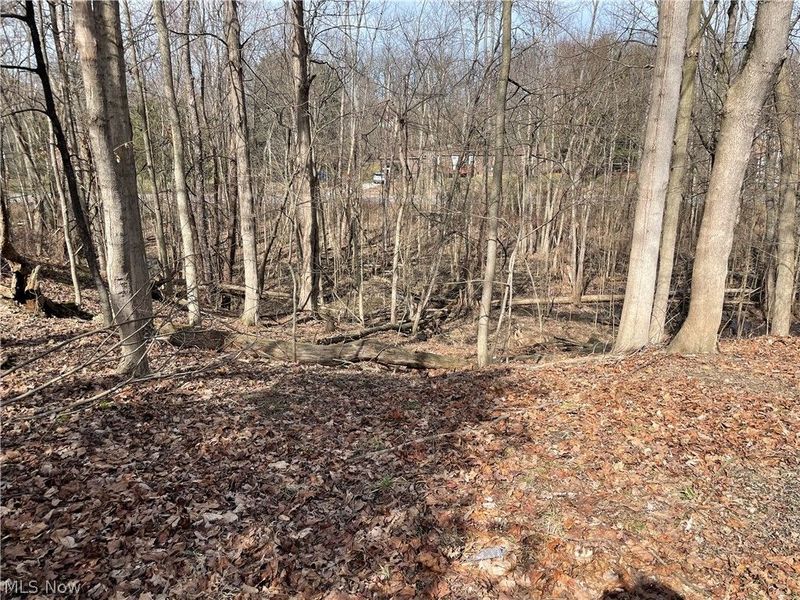 VL Rustic Rook Road, Chippewa Lake, OH 44215 Photo 3