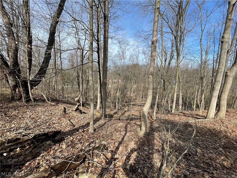 VL Rustic Rook Road, Chippewa Lake, OH 44215 Photo 4