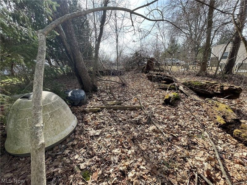 VL Rustic Rook Road, Chippewa Lake, OH 44215 Photo 5