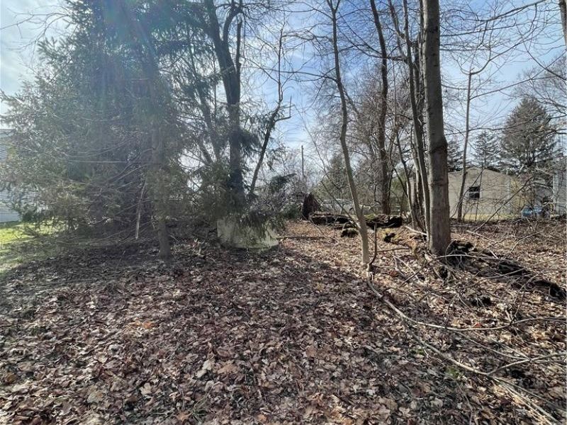 VL Rustic Rook Road, Chippewa Lake, OH 44215 Photo 6