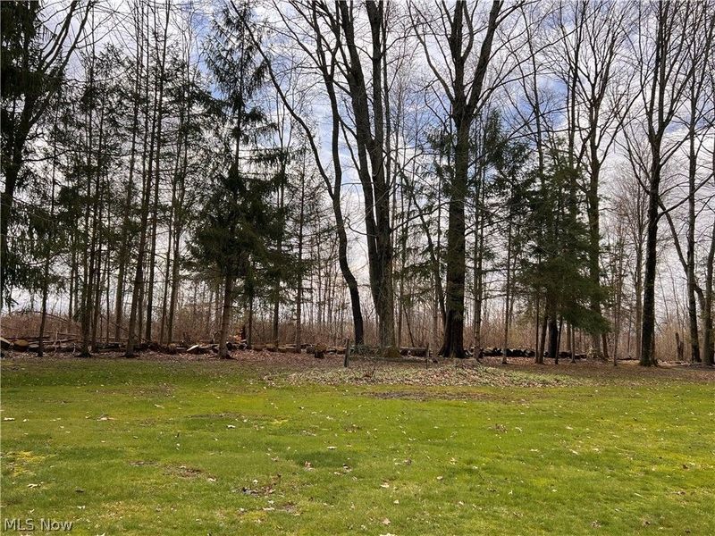 49231 England Drive, East Palestine, OH 44413 Photo 10