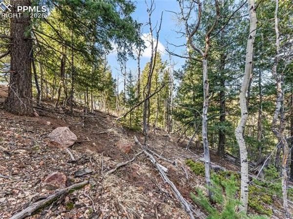 728 Little Topsey Drive, Cripple Creek, CO 80813