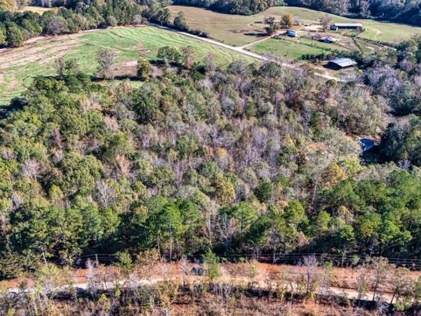 0 Holly, Franklin, GA 30217