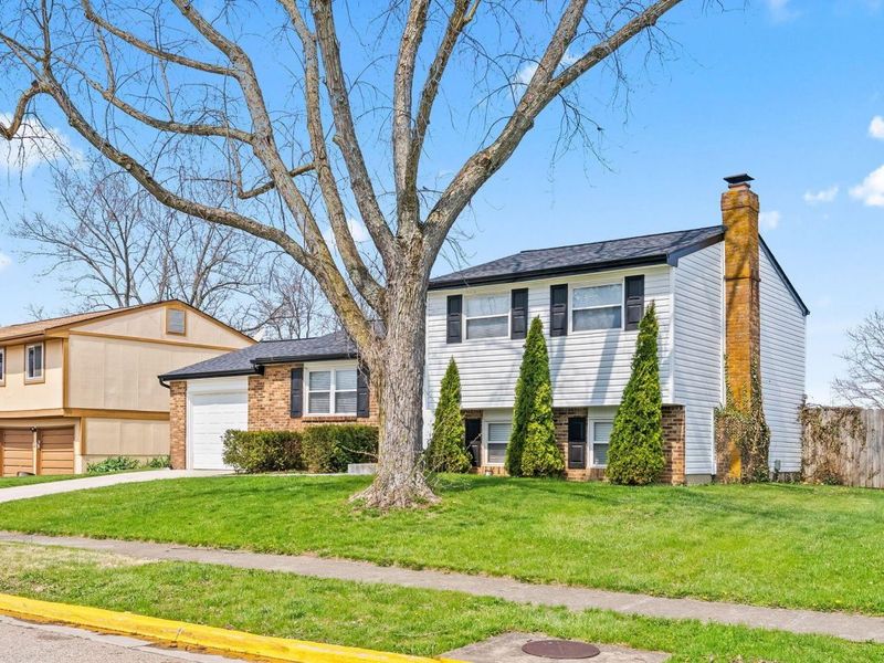 8576 Renaa Avenue, Galloway, OH 43119 Photo 62