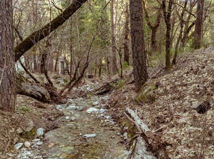 130 Butterfly Valley Twain Road, Twain, CA 95984 Photo