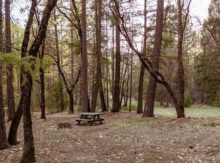 130 Butterfly Valley Twain Road, Twain, CA 95984 Photo