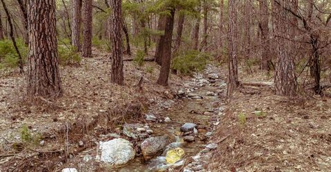 130 Butterfly Valley Twain Road, Twain, CA 95984 Photo