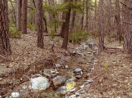 130 Butterfly Valley Twain Road, Twain, CA 95984 Photo