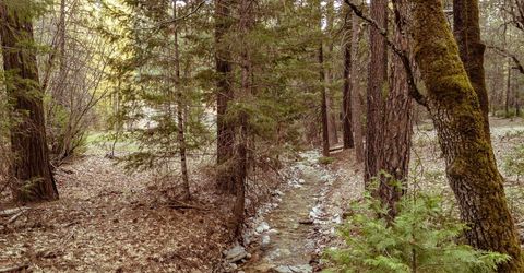 130 Butterfly Valley Twain Road, Twain, CA 95984 Photo