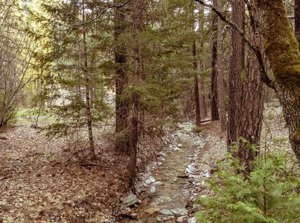 130 Butterfly Valley Twain Road, Twain, CA 95984 Photo