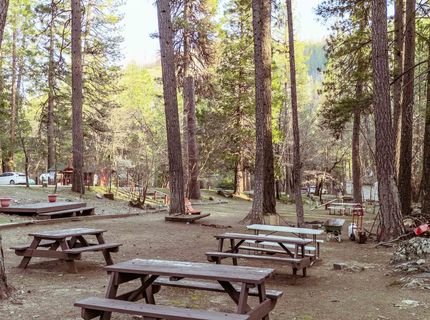 130 Butterfly Valley Twain Road, Twain, CA 95984 Photo