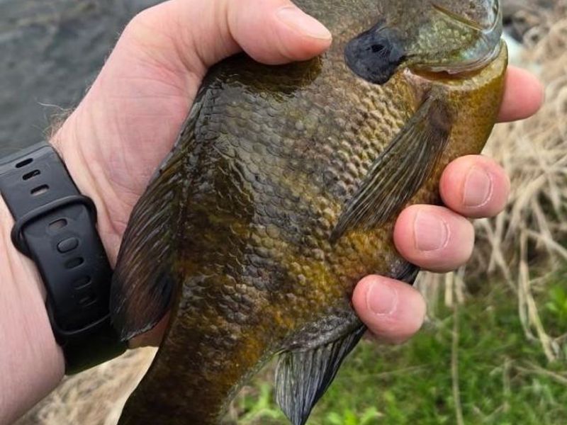 3465 Loudon Road, Pleasant Twp, OH 45121 Photo 42