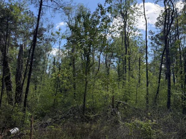 US-190, Merryville, LA 70653