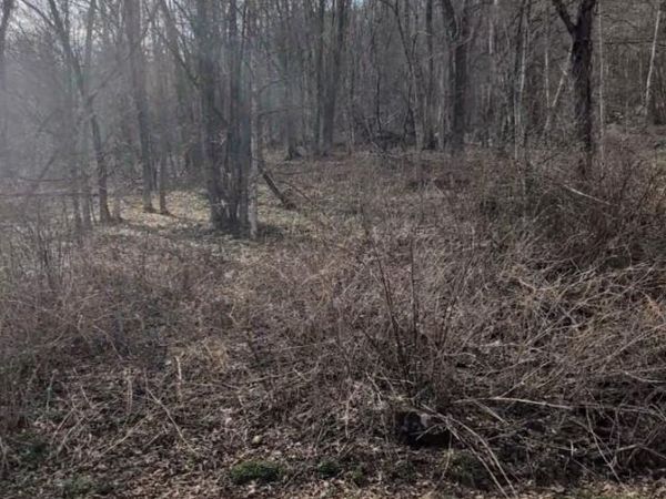 210 Apple Creek Road , Waynesville, NC 28786