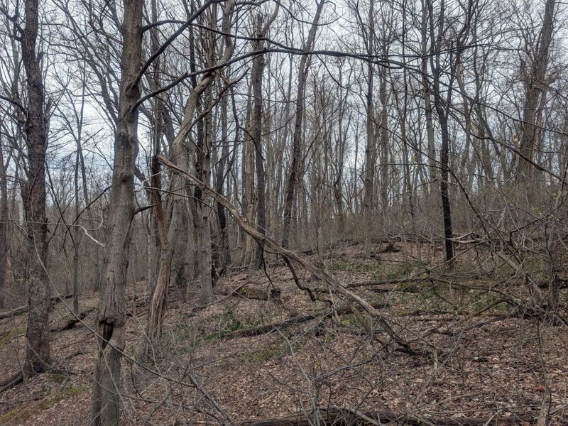 0 High , Somerset, OH 43783 Photo 4