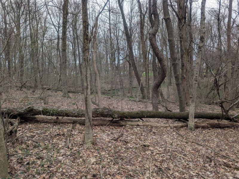 0 High , Somerset, OH 43783 Photo 5