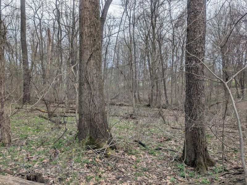 0 High , Somerset, OH 43783 Photo 6