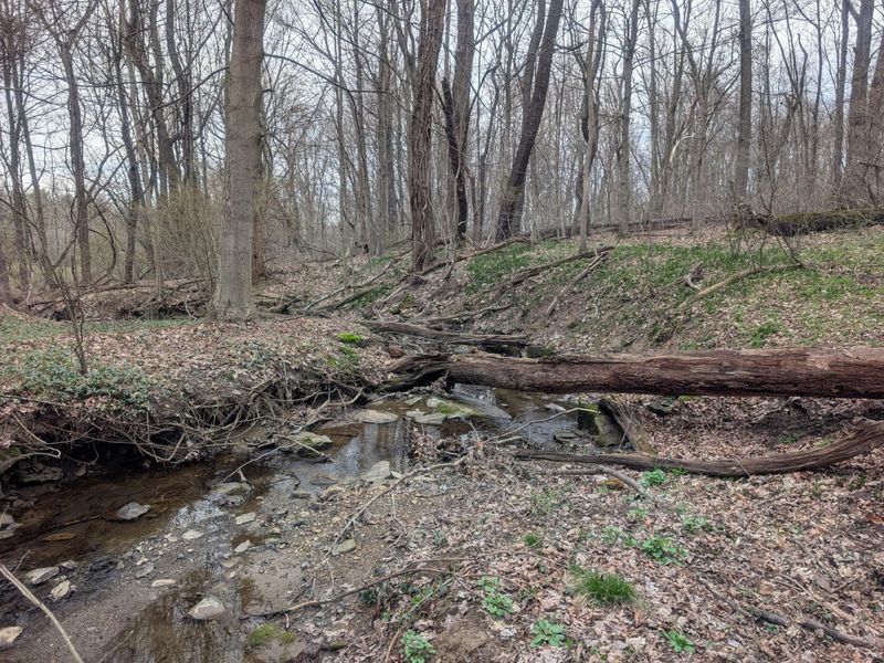 0 High , Somerset, OH 43783 Photo 7